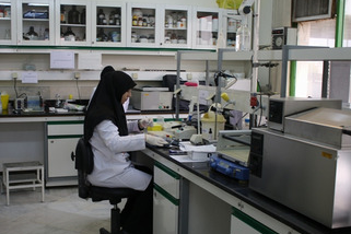 آزمایشگاه مرکزی 